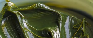 Žalias kalcio sulfonato atsparus drėgmei tepalas